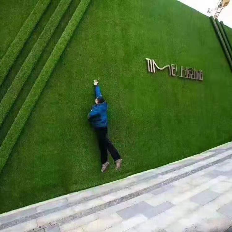 1603075236196258.jpg 1562675105670452.jpg