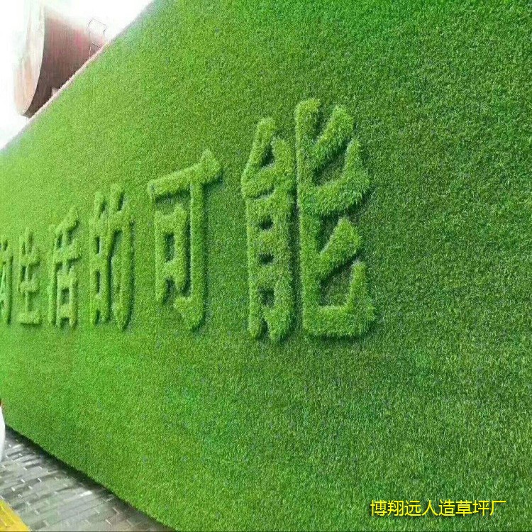 1584088900439598.jpg 人造草坪