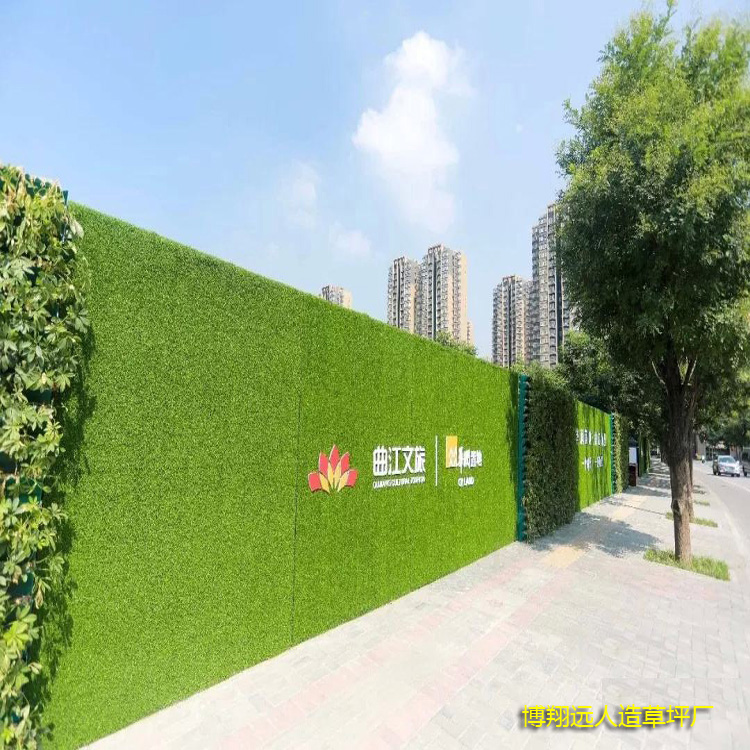 1584088901862775.jpg 人造草坪