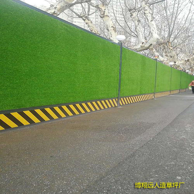 1584088901603496.jpg 人造草坪