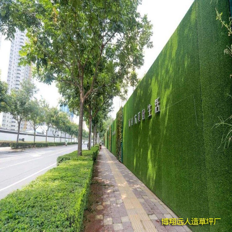 1584088900786488.jpg 人造草坪