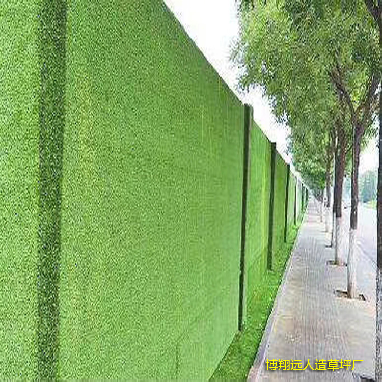 1584088900663983.jpg 人造草坪