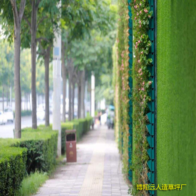 1584088901875858.jpg 人造草坪