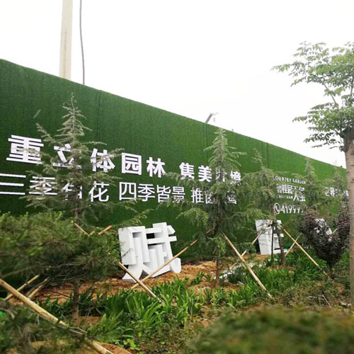 1589249928724803.jpg IMG_8846.JPG